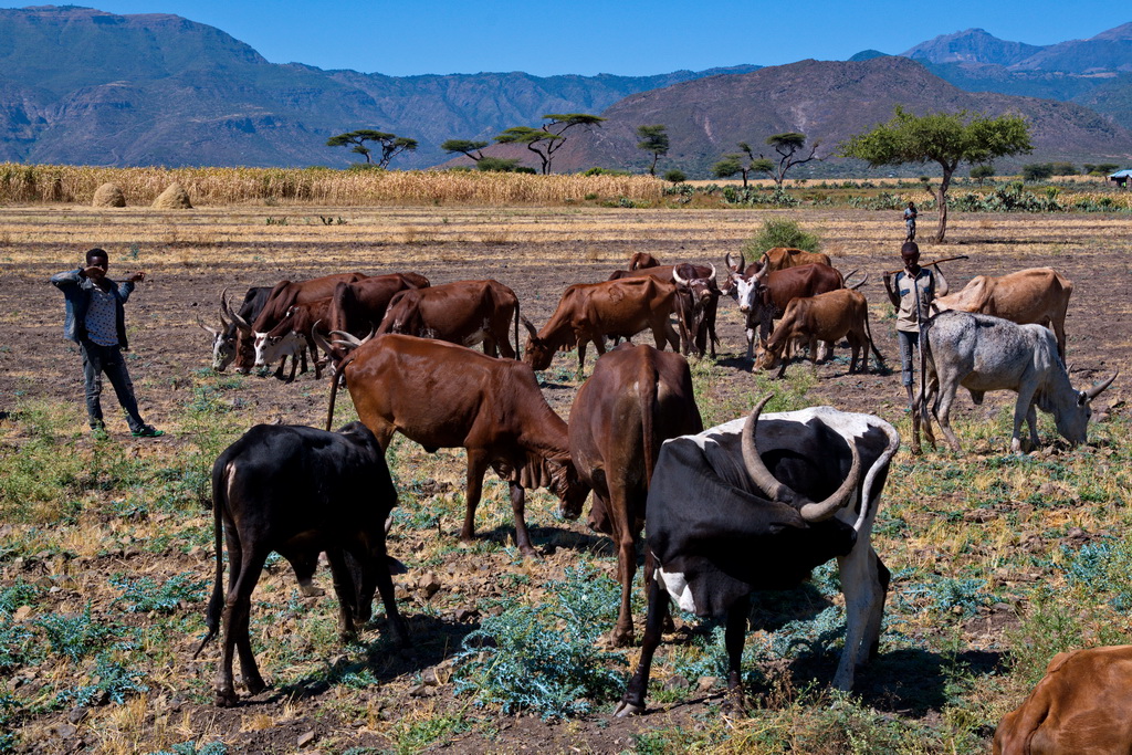 Mekele to Lalibela